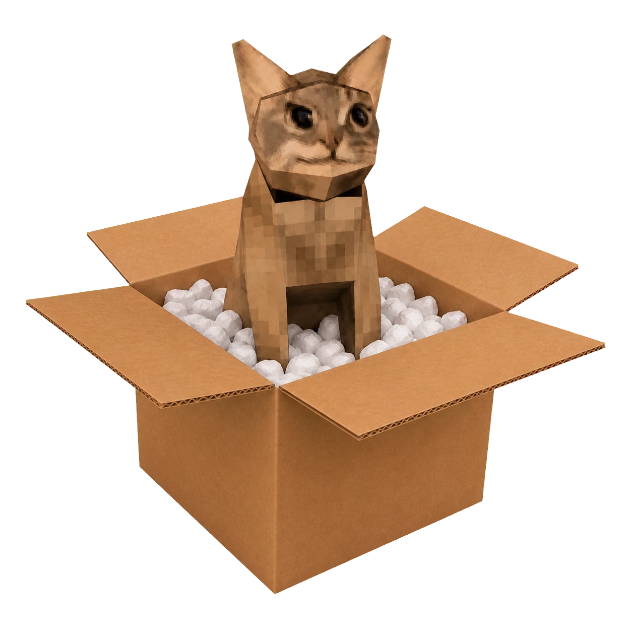 Useless Cat in a box