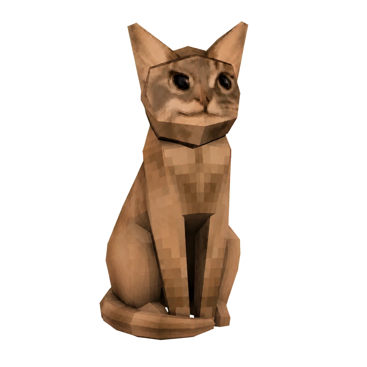 Useless Cat sitting